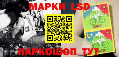 молекула духа Шебекино